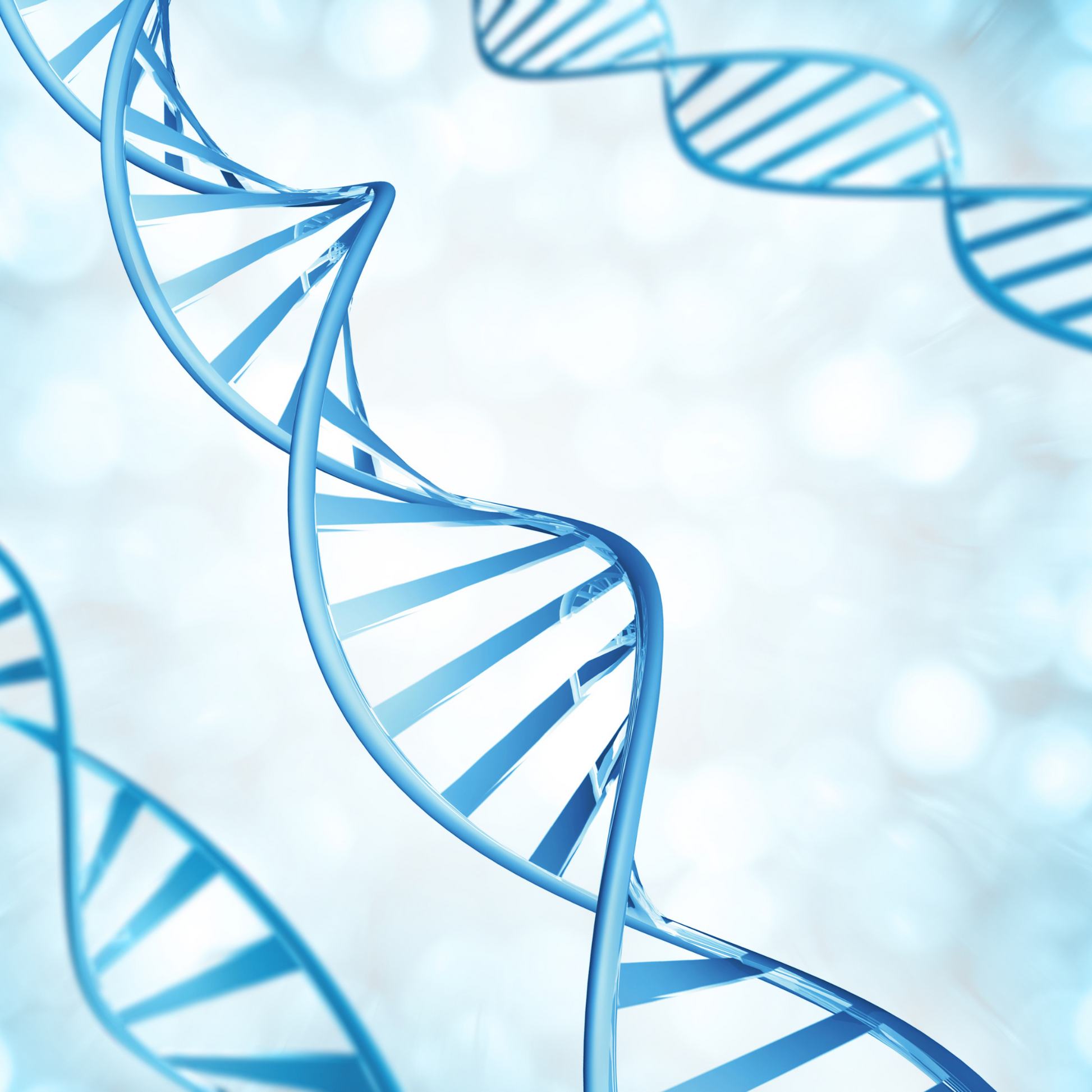 Personalized Genetic - Orthomolecular Protocol
