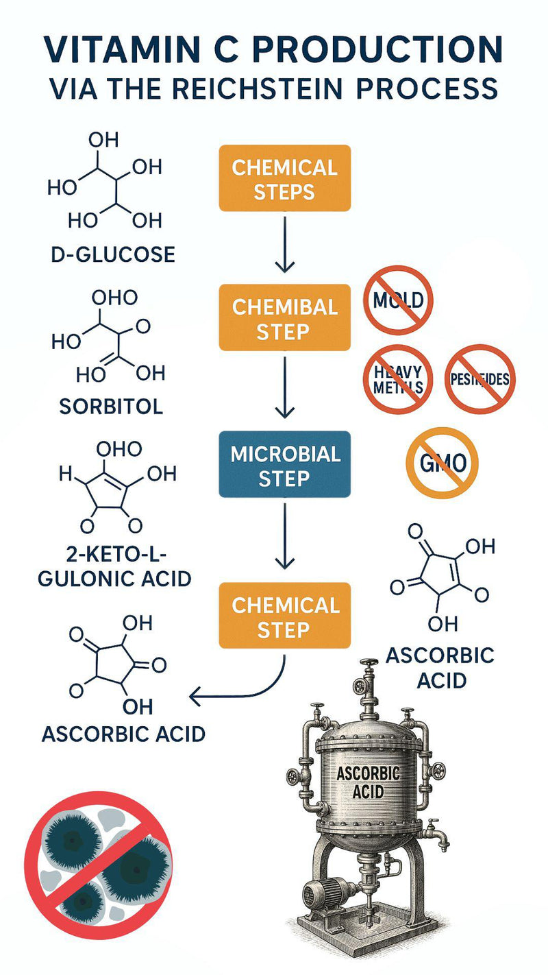 Ascorbic Acid Is NOT Made From Mold – The “Mold Vitamin C” Theory Is a Myth