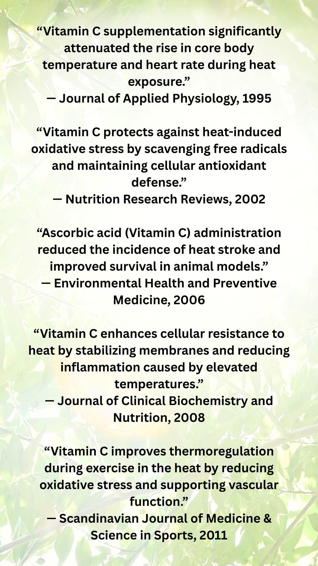 Did you know that Vitamin C is your secret summer shield?