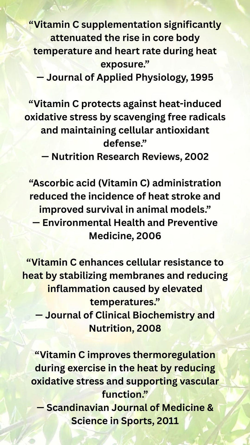 Did you know that Vitamin C is your secret summer shield?