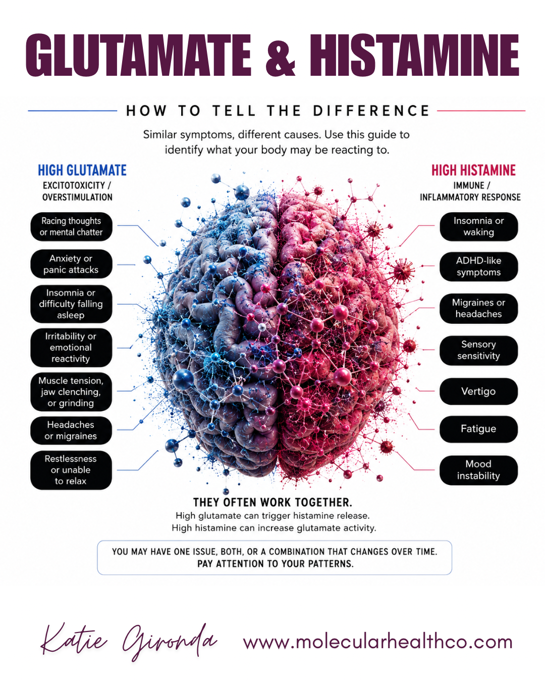 Glutamate & Histamine
