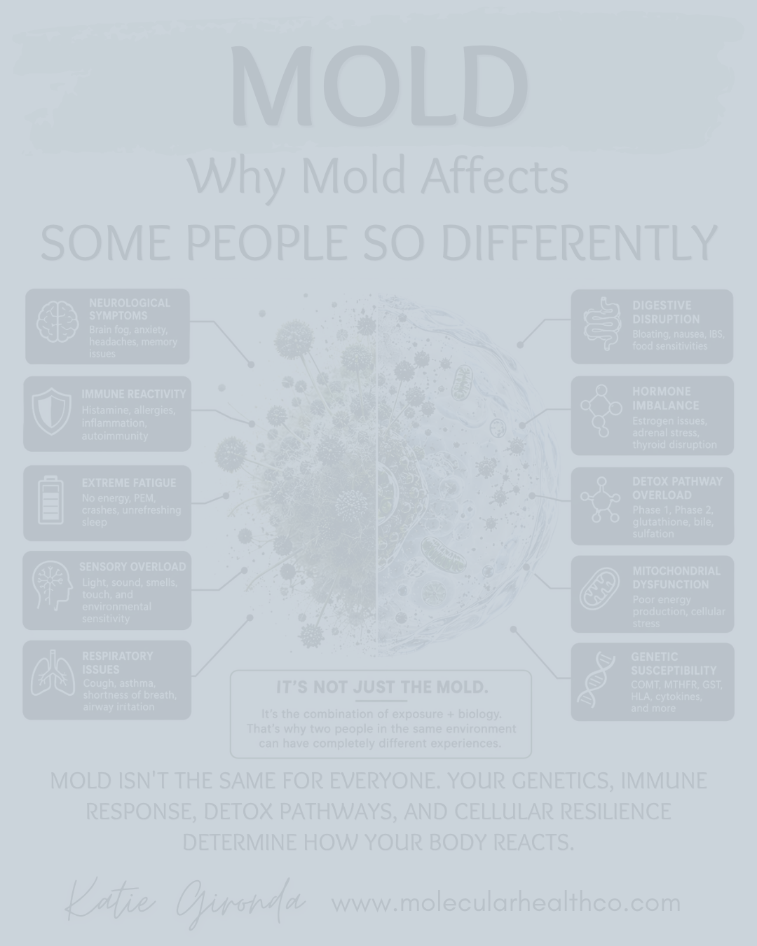 Why Mold Affects Some People So Differently