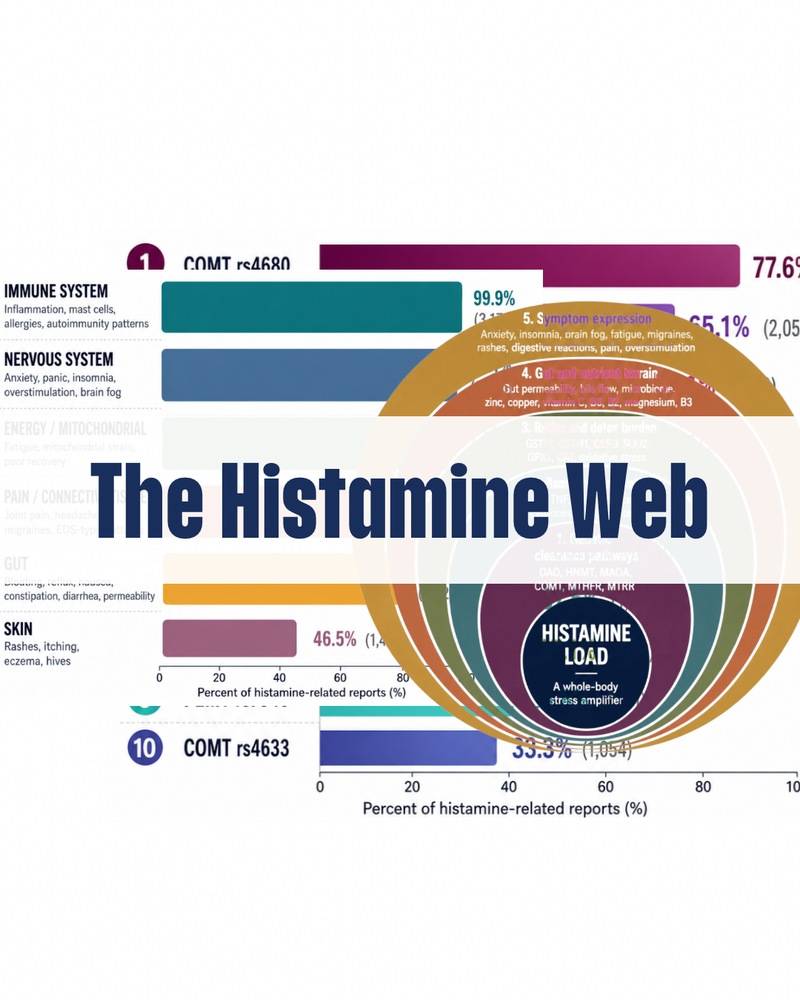 The Histamine Web