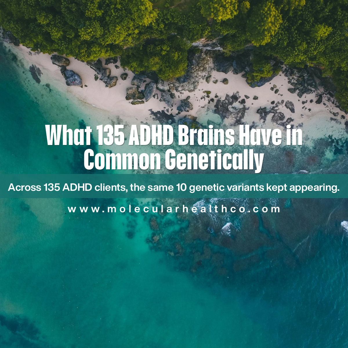 What 135 ADHD Brains Have in Common Genetically
