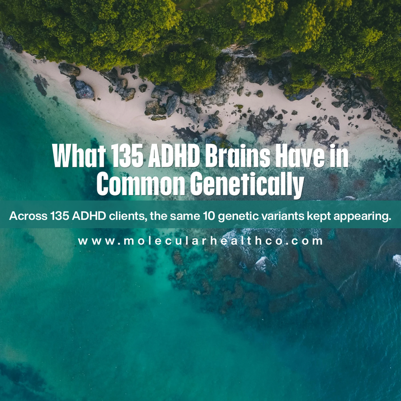 What 135 ADHD Brains Have in Common Genetically