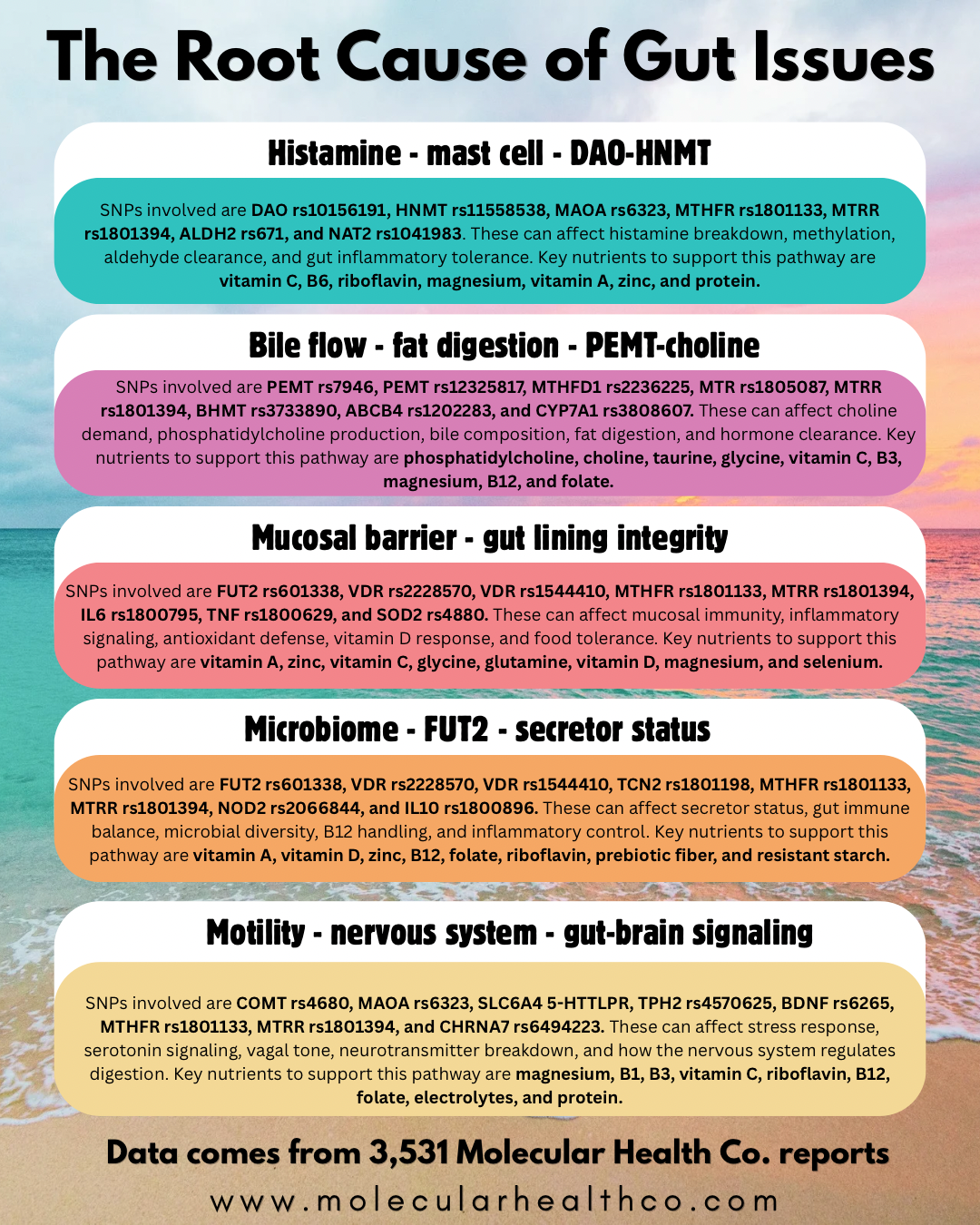 The Root Cause of Gut Issues