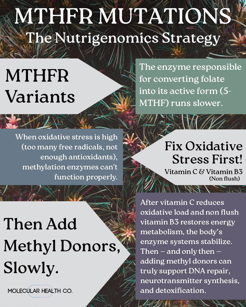 Why MTHFR Is Not a Folate Problem and Why Vitamin C and B3 Must Come First