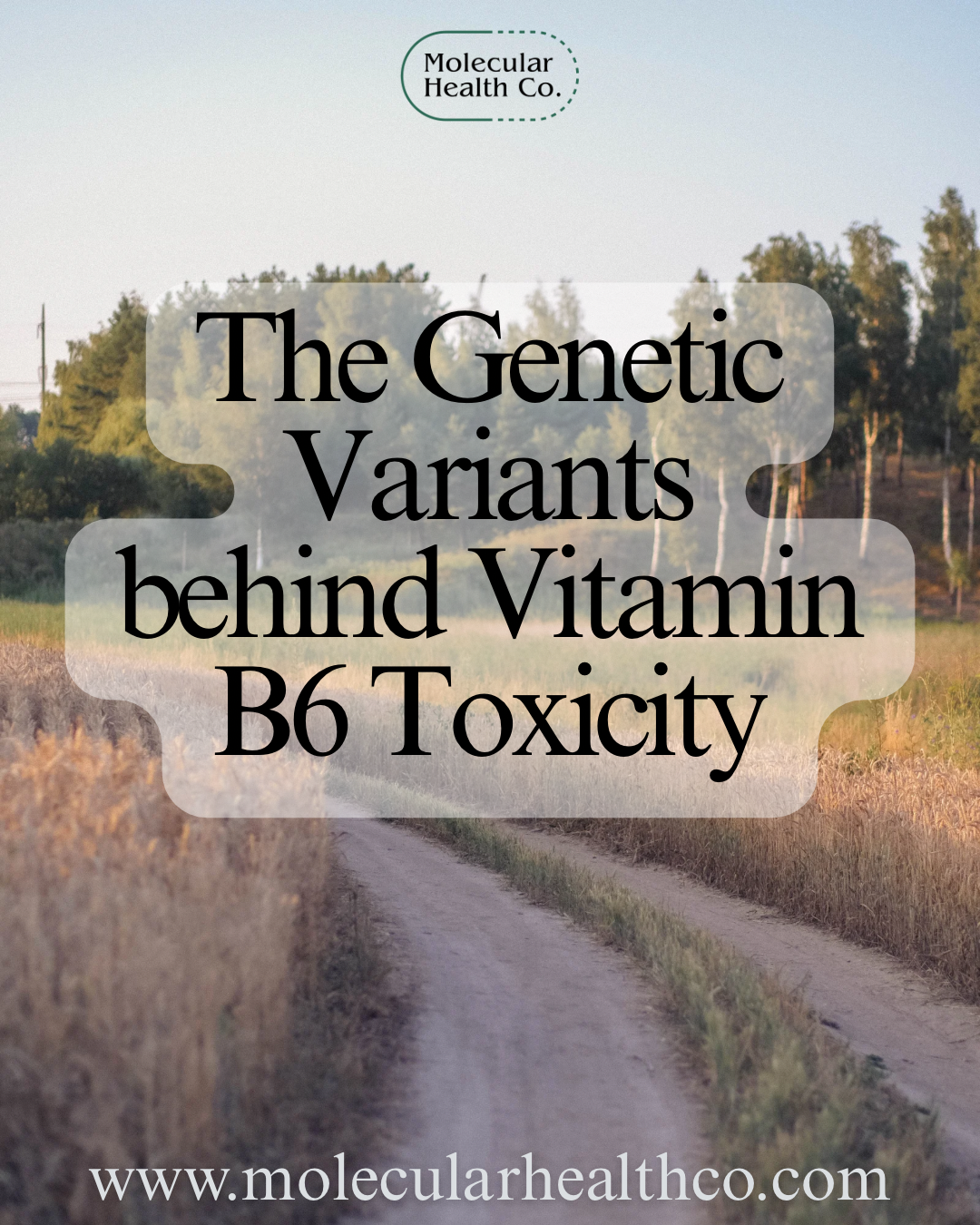 Vitamin B6 Toxicity