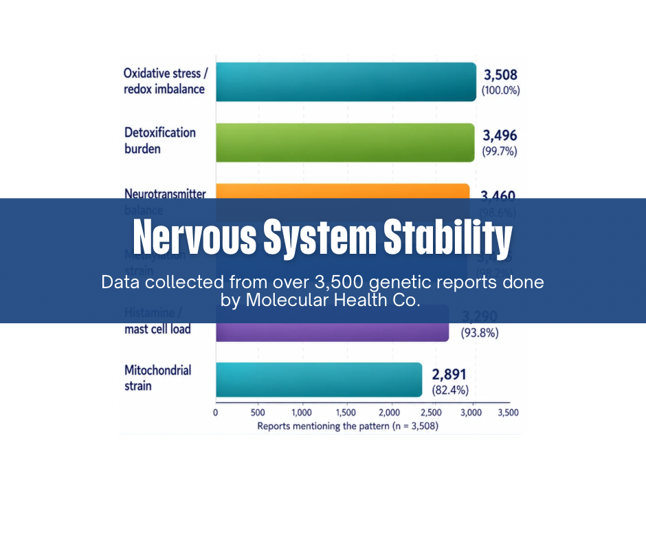 Nervous System Stability