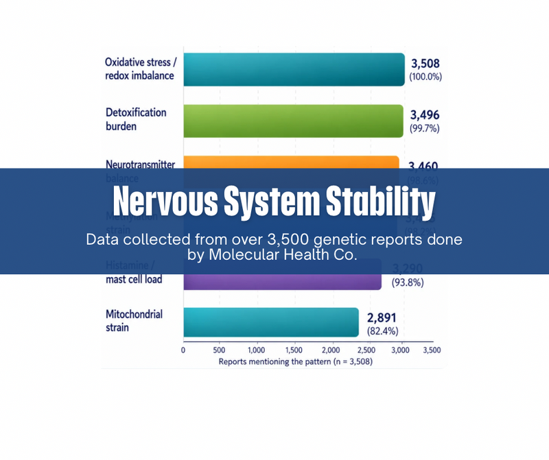 Nervous System Stability