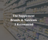 The Supplement Brands & Nutrients I Recommend