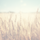 Celiac Disease, Genetics, and Nutrient Deficiencies