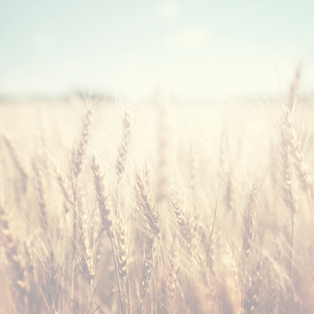 Celiac Disease, Genetics, and Nutrient Deficiencies