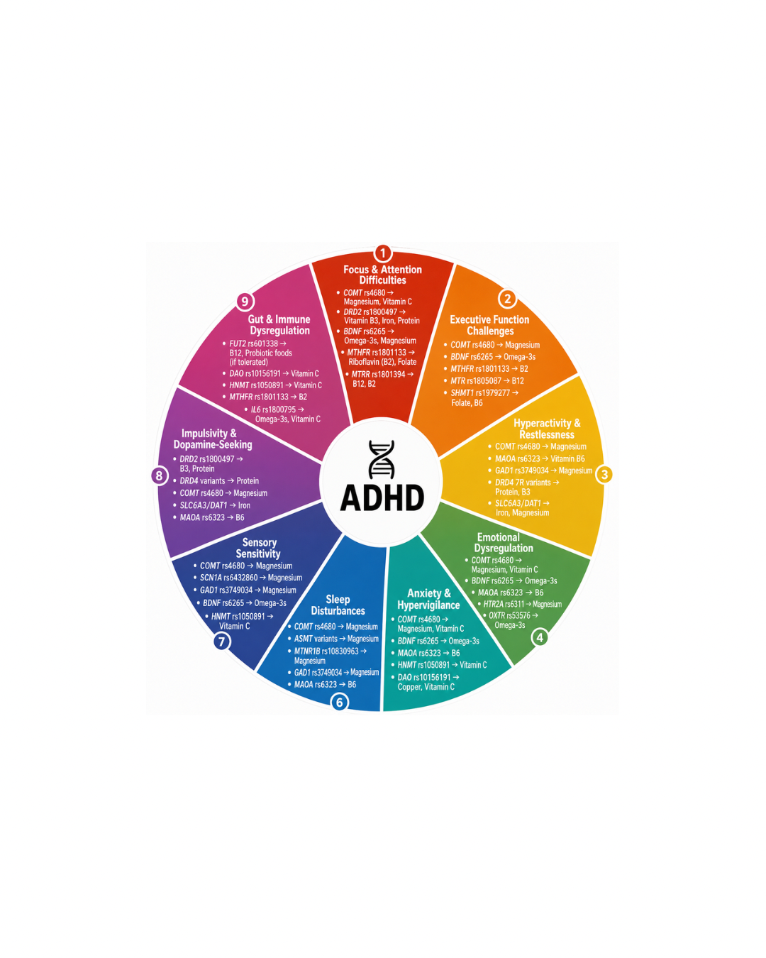 Why ADHD symptoms Cluster Together