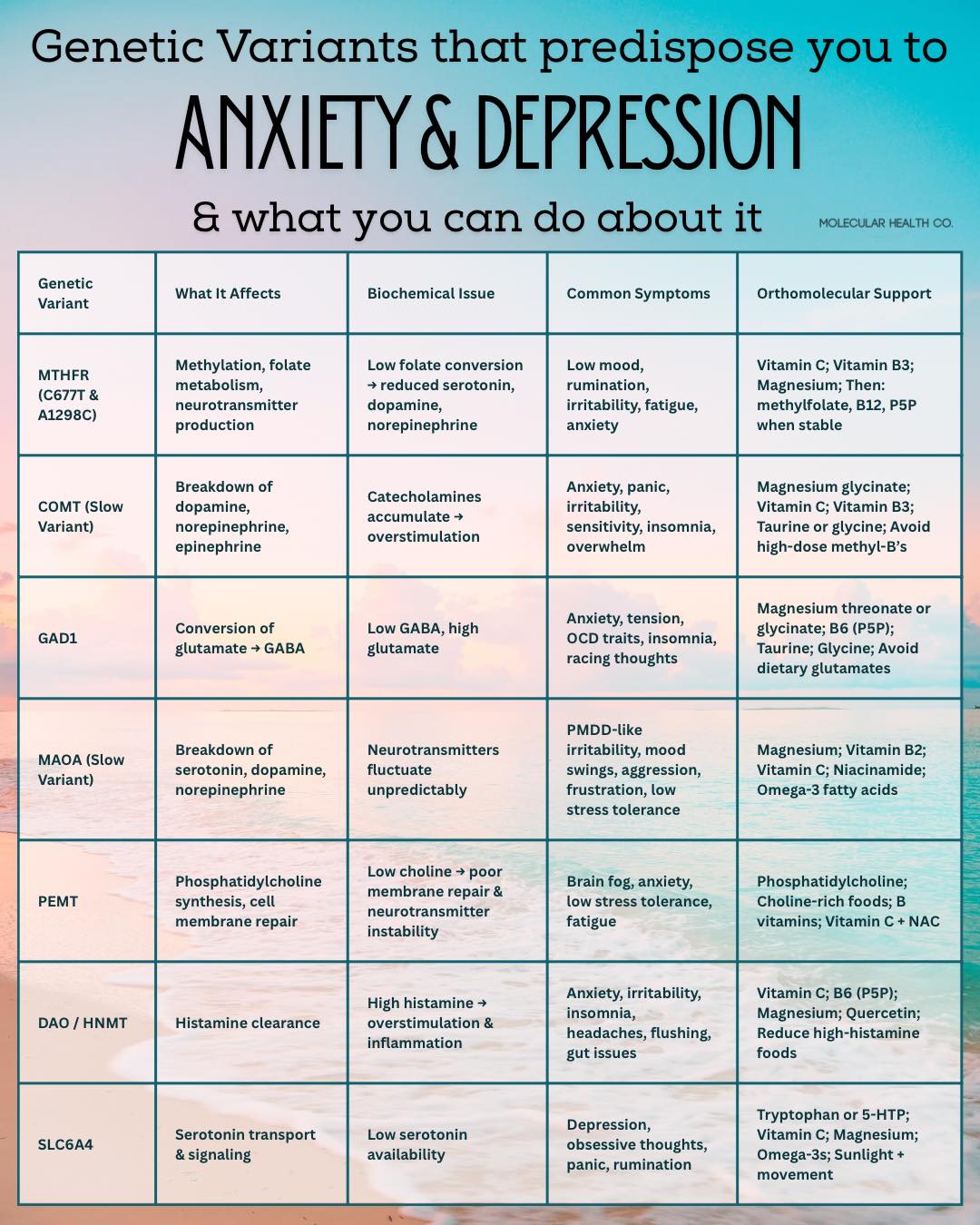 Genetic variants that predispose you to anxiety & depression