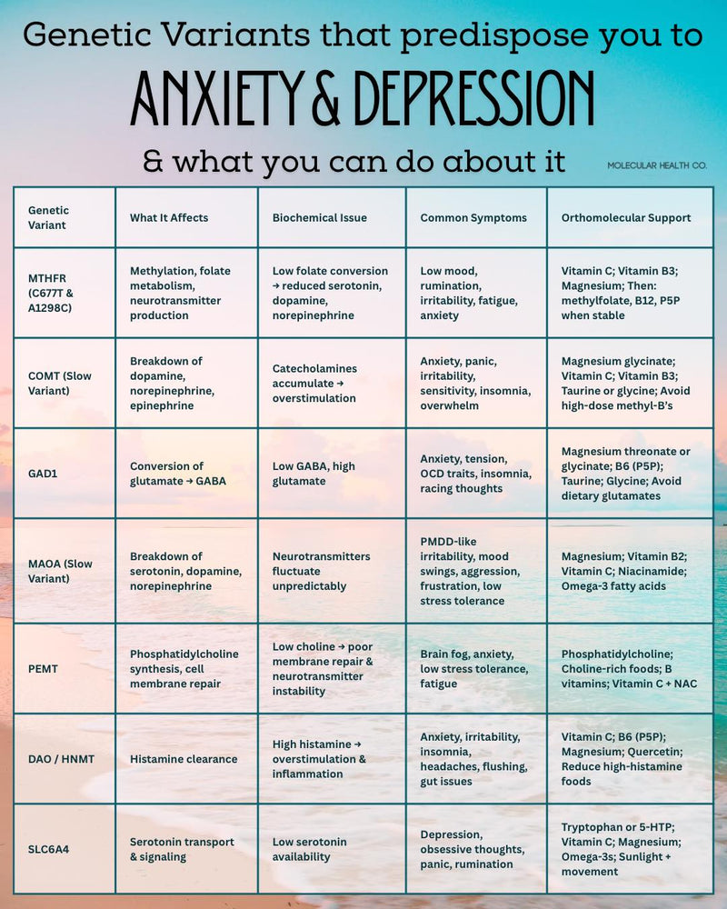 Genetic variants that predispose you to anxiety & depression