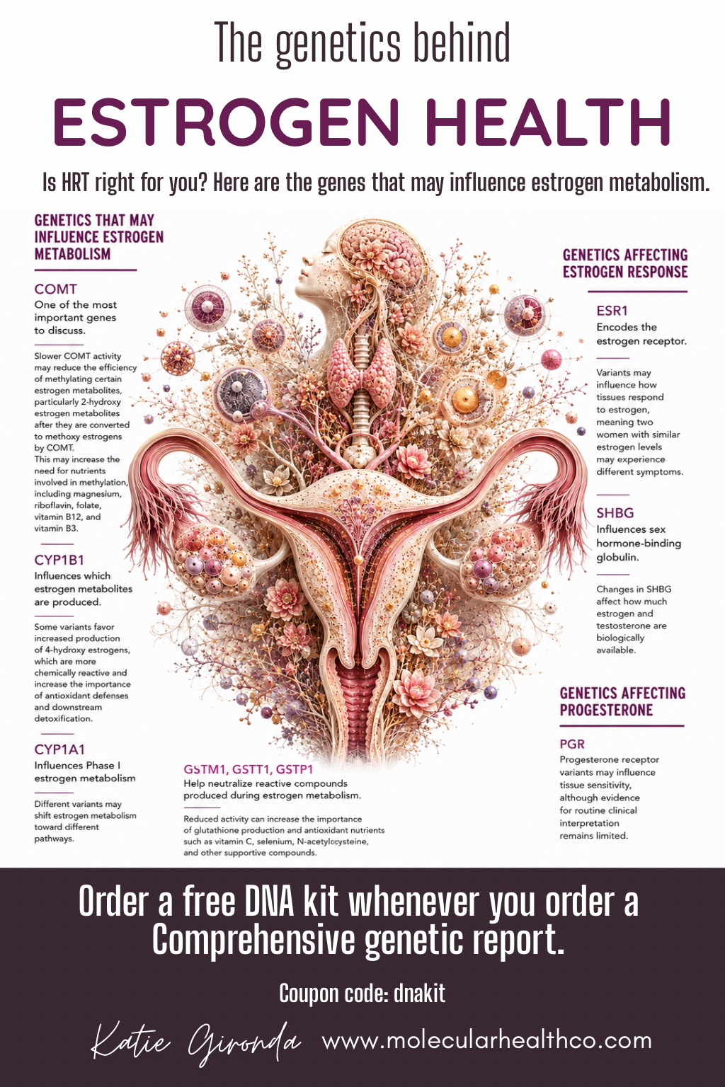 The Genetics Behind Estrogen Health