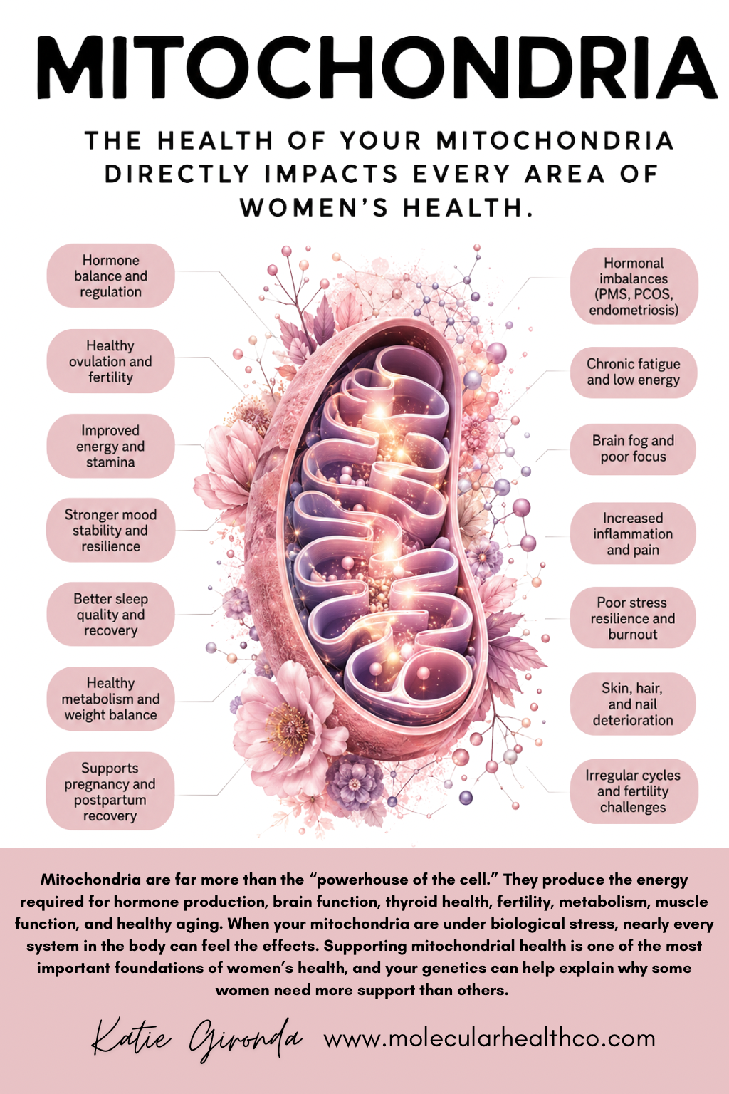 The Silent Biology of Mitochondria