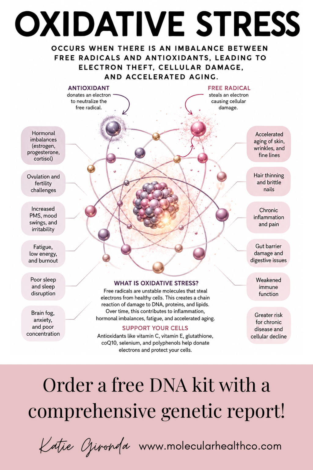 Oxidative Stress: The Biology Behind How You Age
