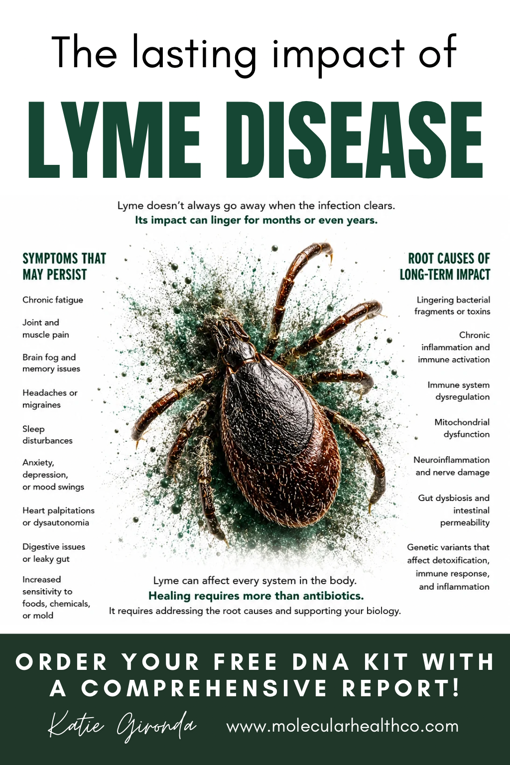 The Lasting Impact of Lyme Disease