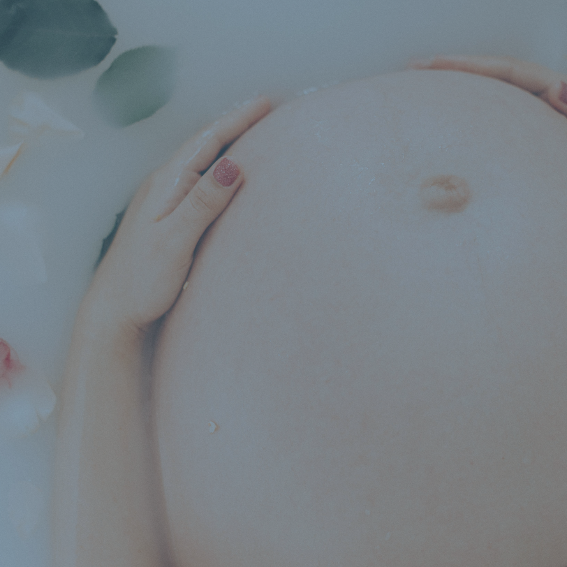 Comprehensive Fertility Blueprint™ for Couples