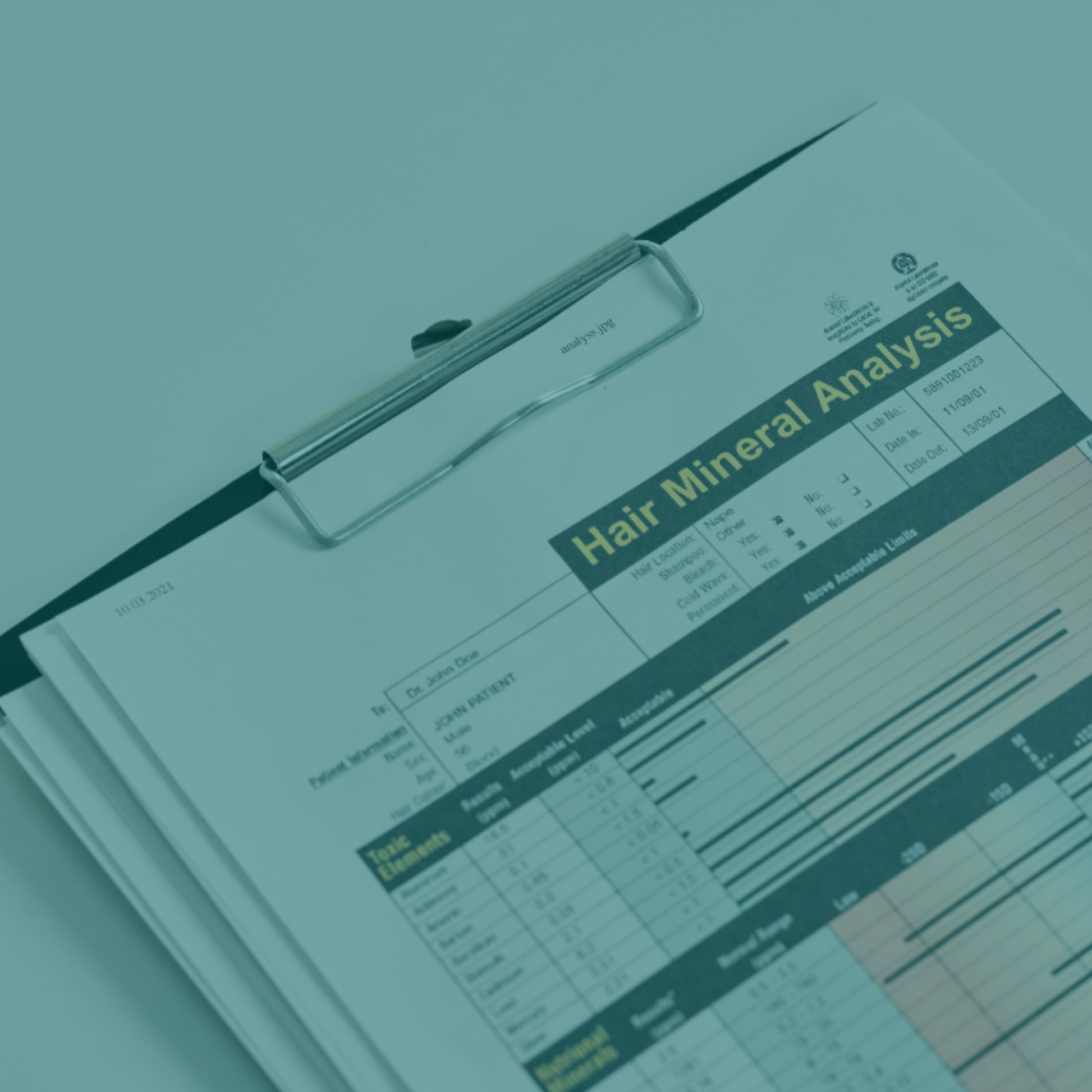 Comprehensive Analysis & Personalized Protocol for Hair Mineral, Heavy Metal, and Functional Test Results.