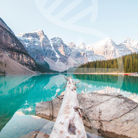 Genetic Diet Blueprint™