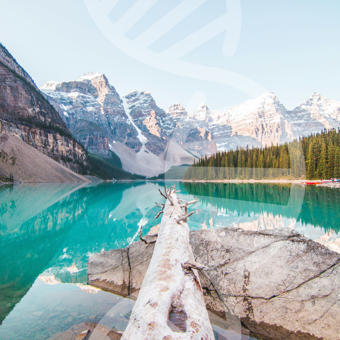 Genetic Diet Blueprint™