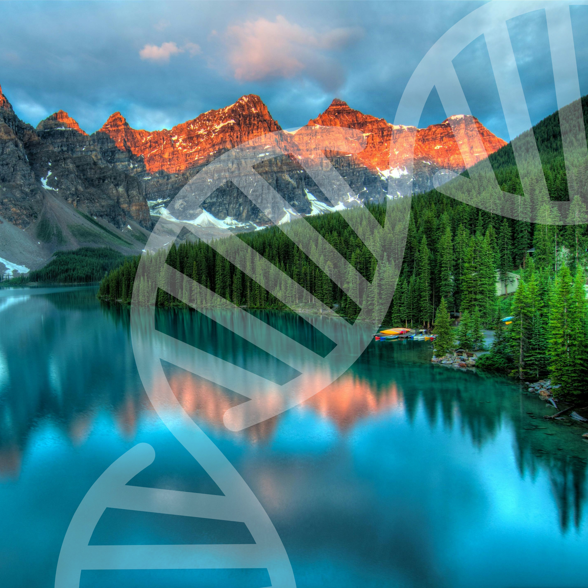 Comprehensive Genetic - Molecular Blueprint™ Analysis -- Without DNA Kit