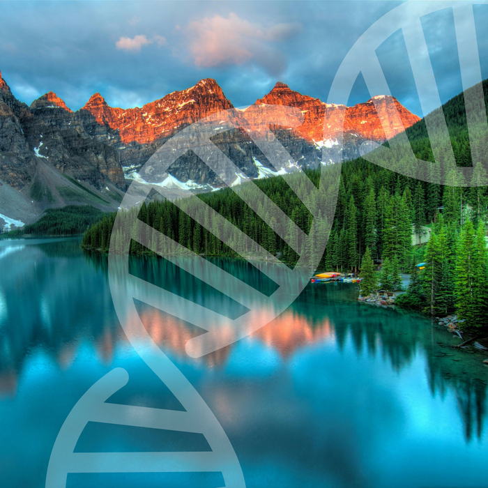 Comprehensive Genetic - Molecular Blueprint™ Analysis