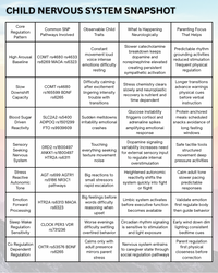 Genetic Nervous System Parenting Blueprint