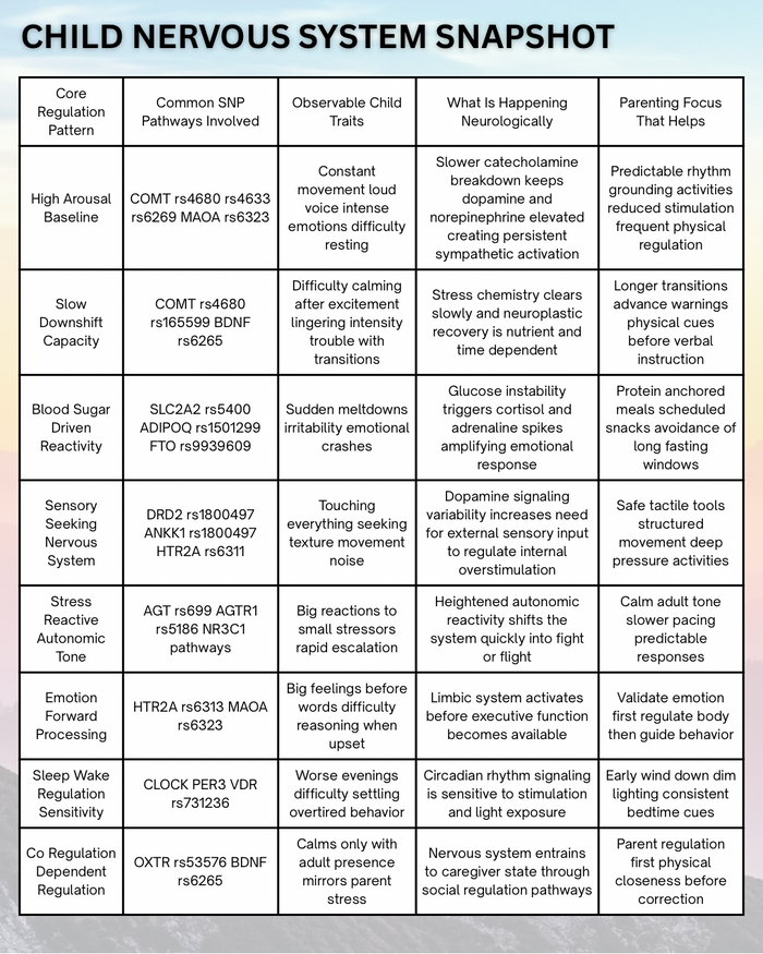 Genetic Nervous System Parenting Blueprint