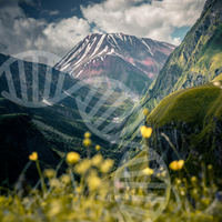 Genetic Nervous System Parenting Blueprint