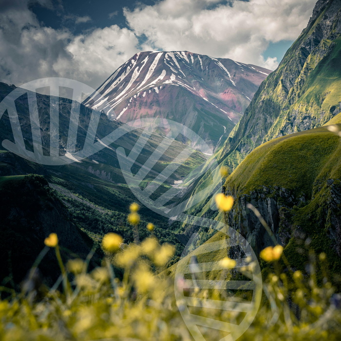 Genetic Nervous System Parenting Blueprint