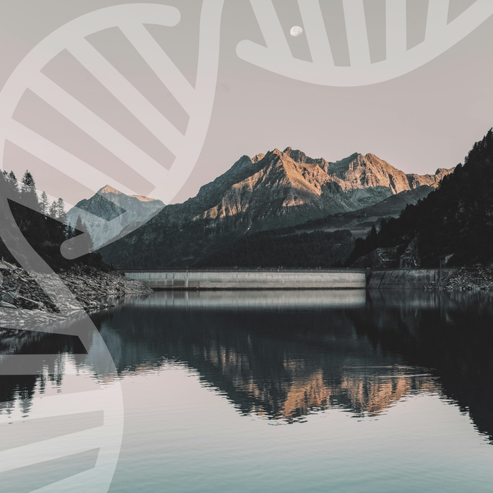 Hormone Blueprint™