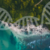 Genetic Avoidance Blueprint: Personalized Sensitivity and Risk Analysis