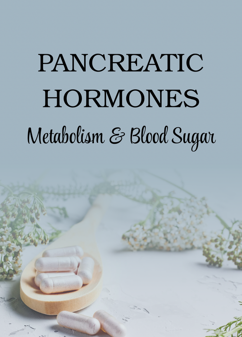 Comprehensive Holistic Hormone Guide PDF