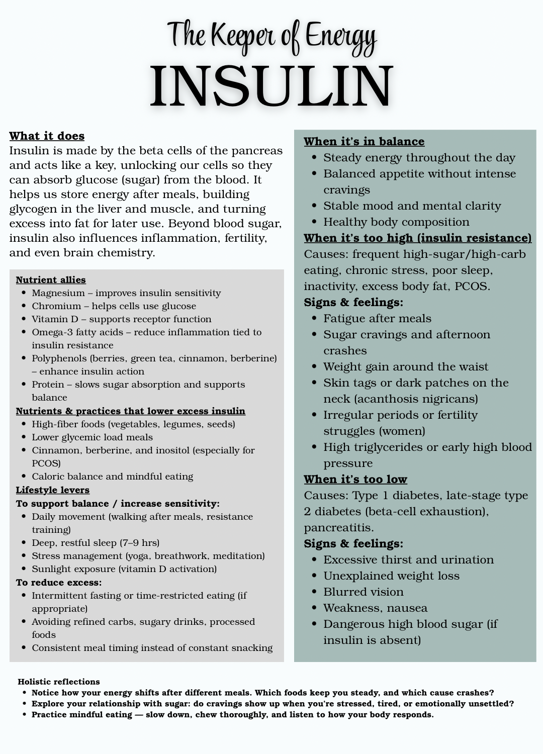 Comprehensive Holistic Hormone Guide PDF