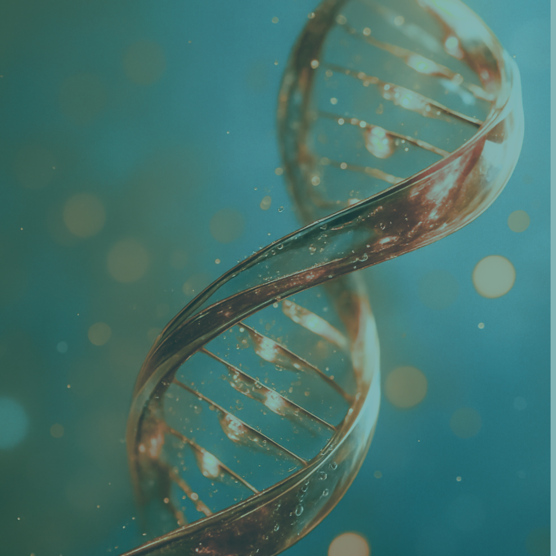 Personalized Genetic Nutrient Analysis + Protocol