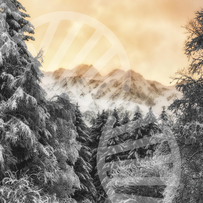 Genetic Analysis + Supplement Protocol - Without DNA Kit