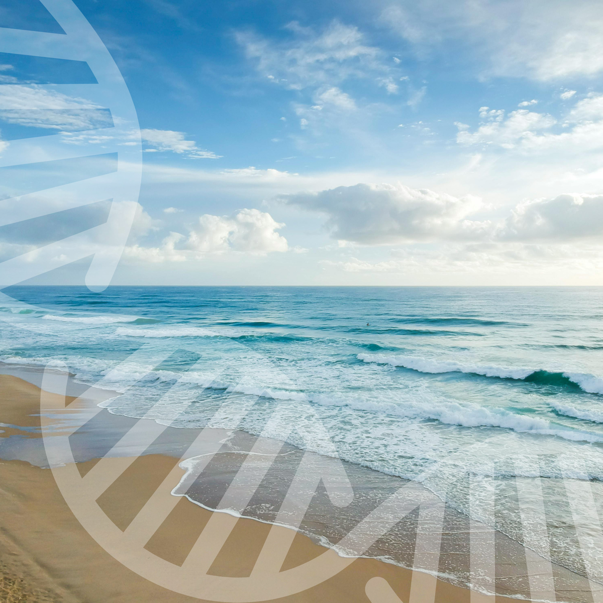 DNA Testing & Genetic Analysis + Supplement Protocol