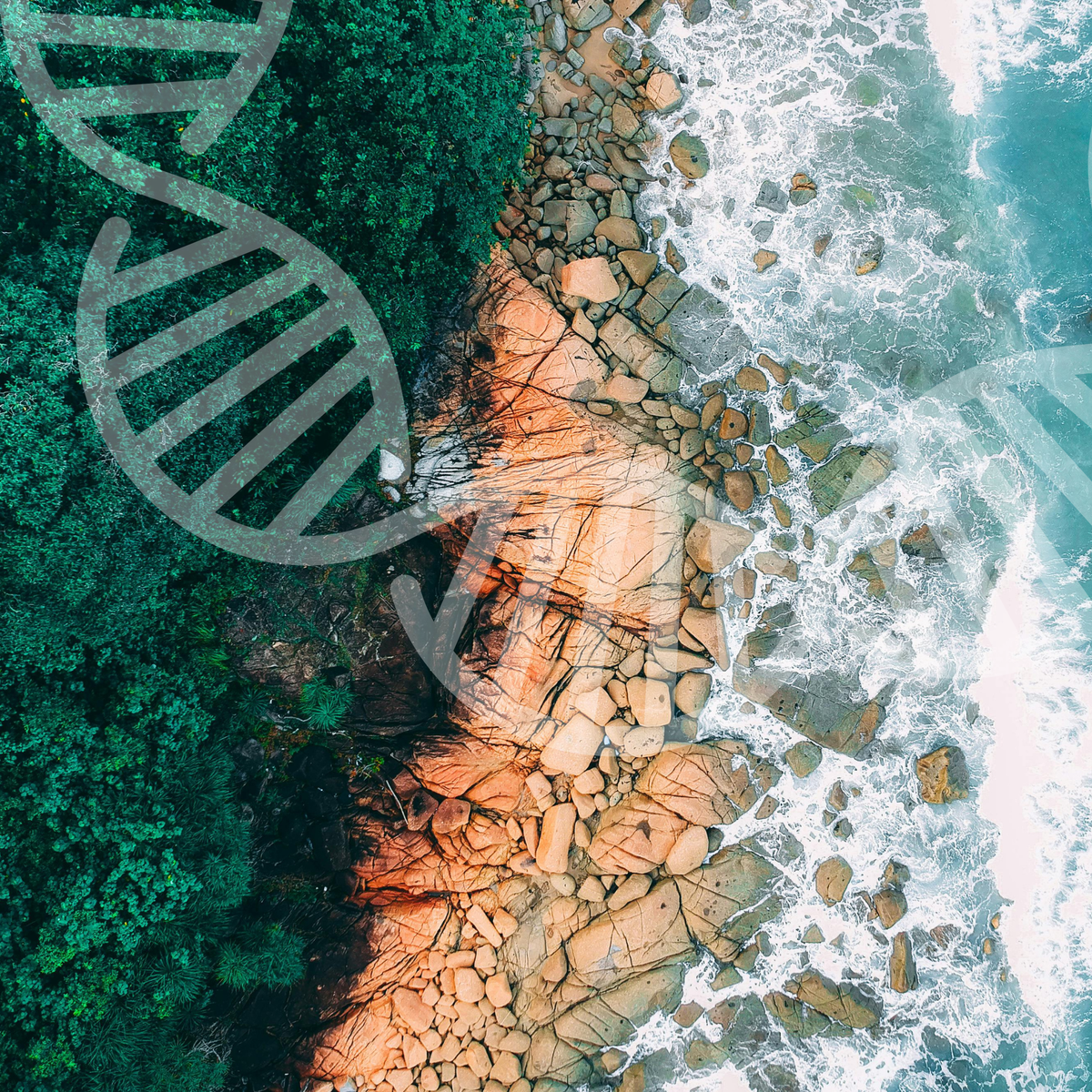 Bulk Genetic Analysis - 5