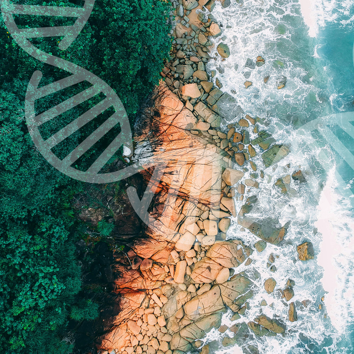 Bulk Genetic Analysis - 10