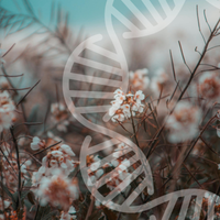 Bulk Genetic Analysis - 10