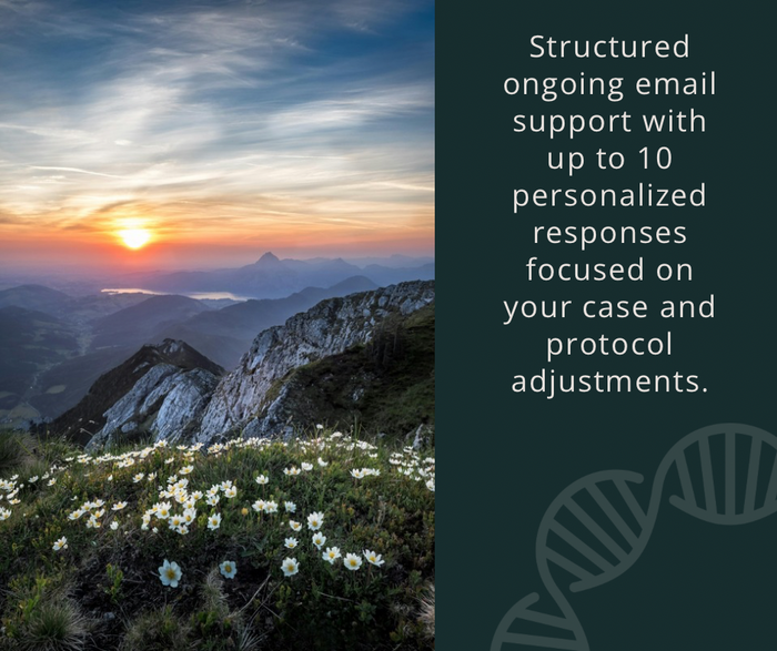 Ongoing Email Support - 10 Response Package