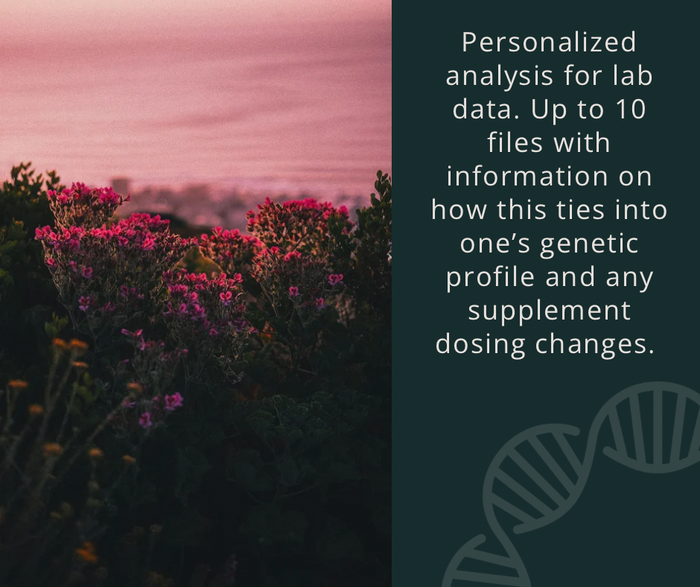 Comprehensive Lab Analysis  Up to 10 Files