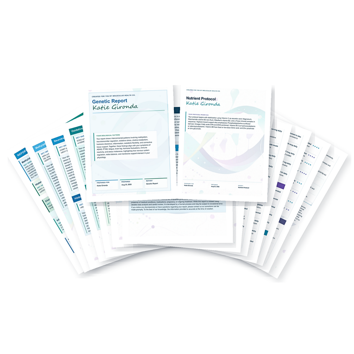 Starter Report & Supplement Protocol
