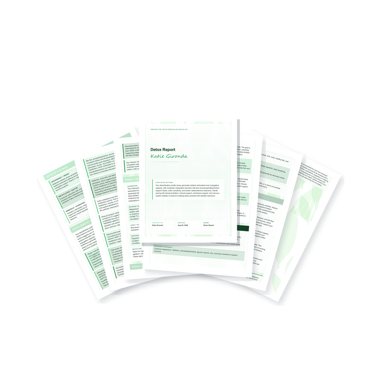 Detox Report