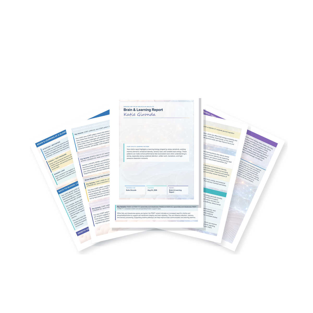 Brain & Learning Report